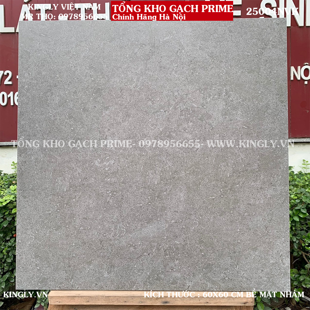 Gạch Granite Prime 60x60 25004 Loại A1